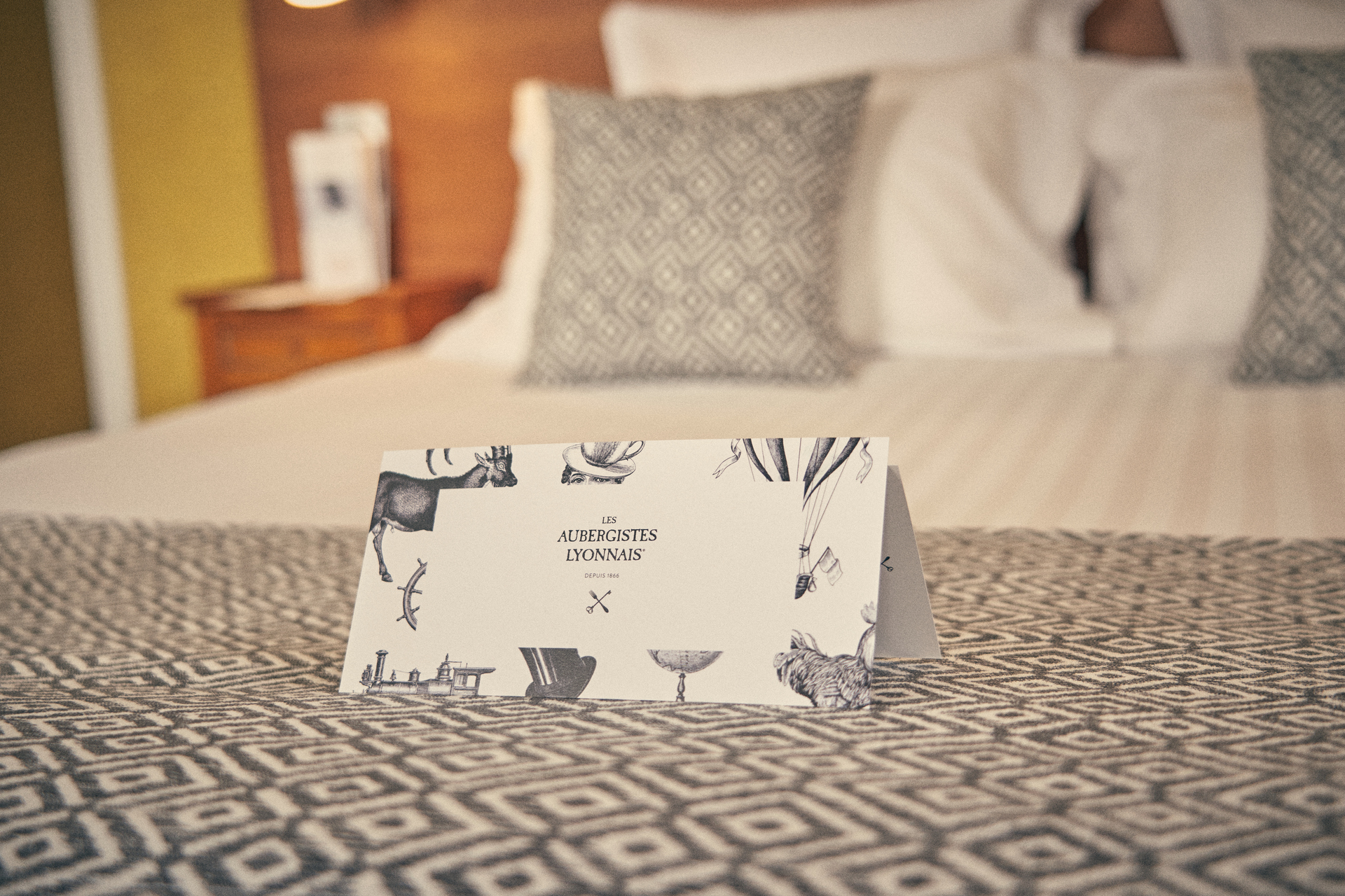 hotel pas cher lyon bon plan1