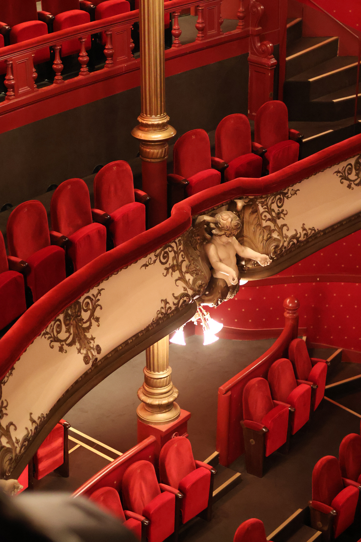 Le Théâtre des Célestins